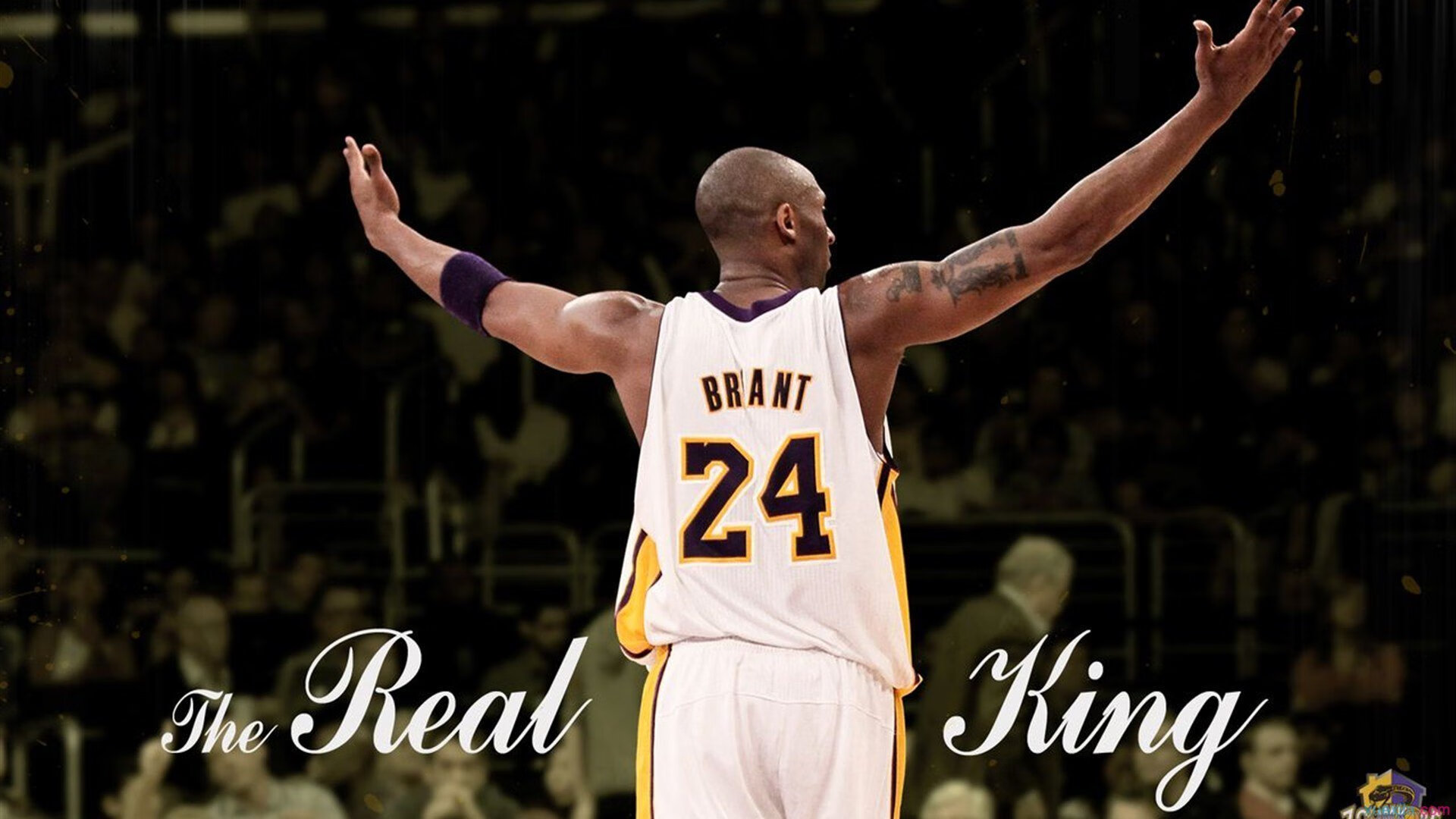 中国花样游泳队世锦赛摘金 艺术与力量完美融合创历史