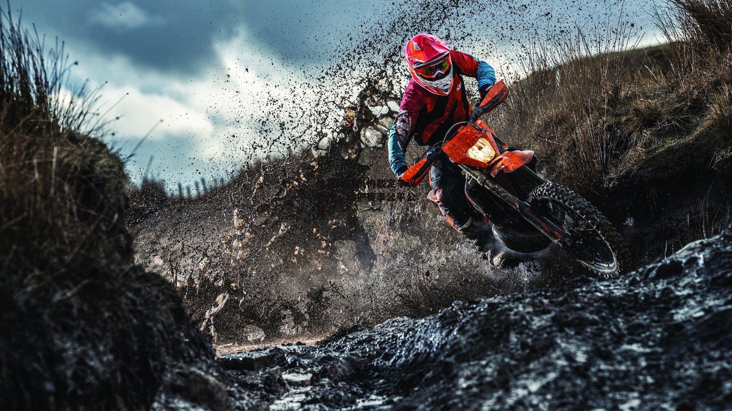 体育仲裁机构裁定争议案件，维护赛事公平公正