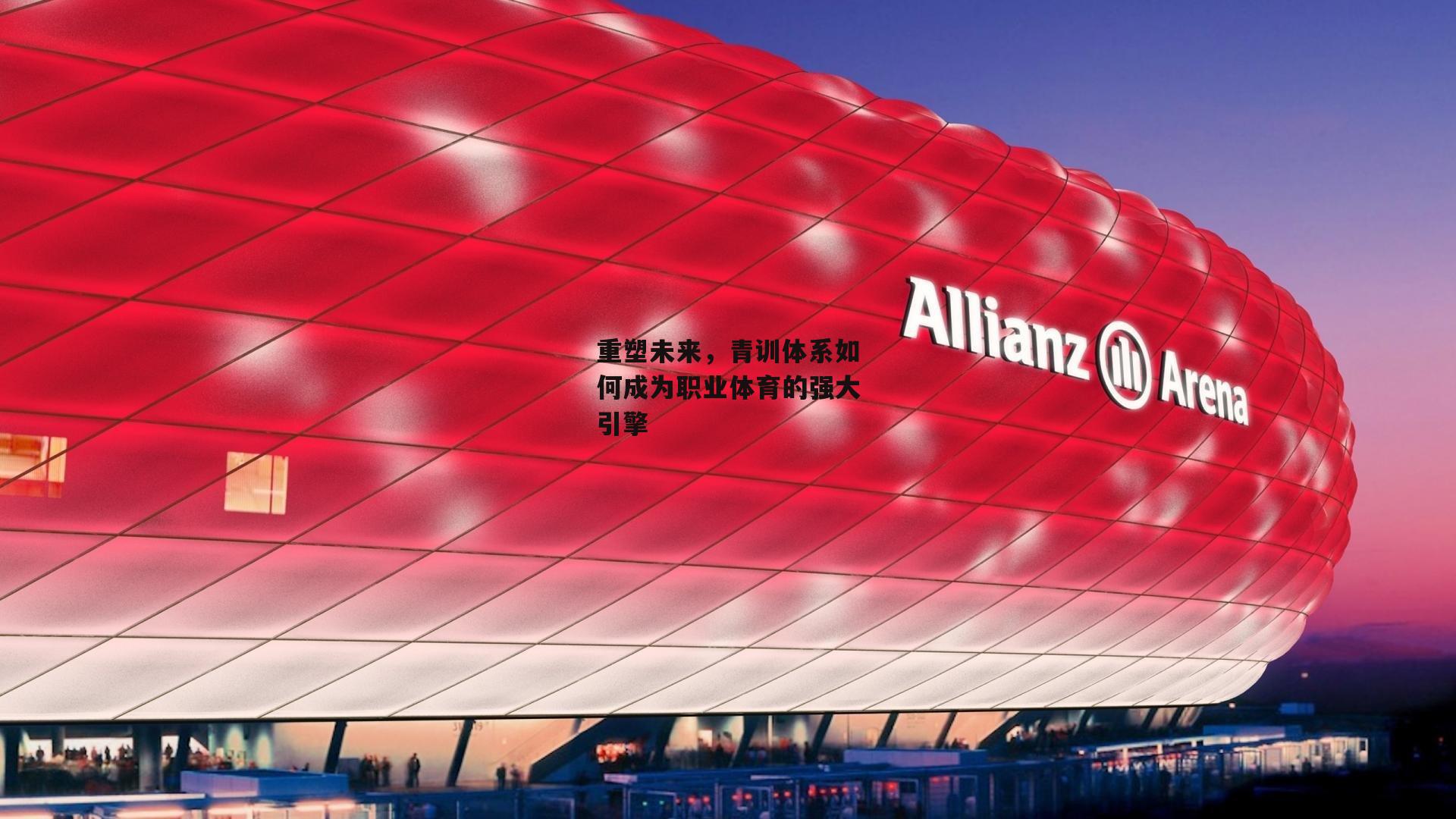 重塑未来,青训体系如何成为职业体育的强大引擎