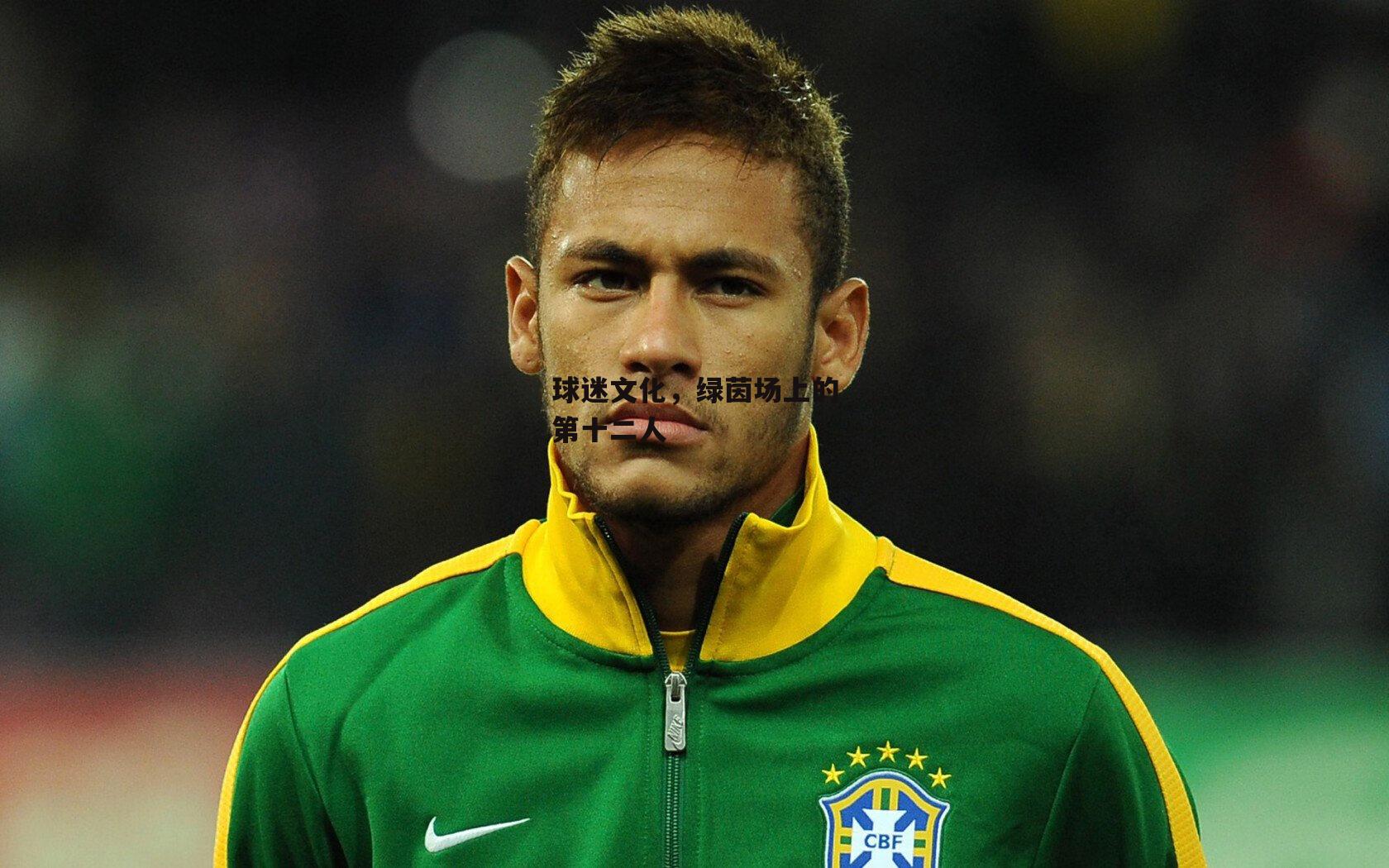 球迷文化,绿茵场上的第十二人